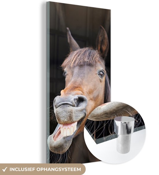 Peinture sur Verre - Cheval - Drôle - Écurie - 20x40 cm - Peintures sur Verre Peintures - Photo sur Glas