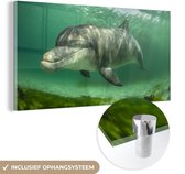 MuchoWow® Glasschilderij 40x20 cm - Schilderij acrylglas - Dolfijn - Dieren - Water - Foto op glas - Schilderijen