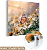 MuchoWow® Glasschilderij 20x20 cm - Schilderij acrylglas - Vlinder op kamillebloem - Foto op glas - Schilderijen
