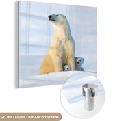 MuchoWow® Glasschilderij 20x20 cm - Schilderij acrylglas - IJsbeer - Sneeuw - Welpen - Foto op glas - Schilderijen