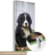 MuchoWow® Glasschilderij 80x160 cm - Schilderij acrylglas - Super schattige Berner Sennenhond puppy - Foto op glas - Schilderijen