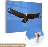 MuchoWow® Glasschilderij 30x20 cm - Schilderij acrylglas - Een Andescondor met gespreide vleugels - Foto op glas - Schilderijen