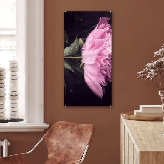 MuchoWow® Peinture sur verre 40x80 cm - Peinture sur verre acrylique - Pivoine avec gouttes de rosée - Photo sur verre - Peintures
