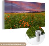 MuchoWow® Glasschilderij 160x80 cm - Schilderij acrylglas - Bloemenweide - Roze - Bergen - Foto op glas - Schilderijen