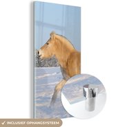 MuchoWow® Glasschilderij 40x80 cm - Schilderij glas - Dravend fjord paard in de sneeuw - Foto op acrylglas - Schilderijen