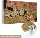MuchoWow® Glasschilderij 160x80 cm - Schilderij acrylglas - Cheetah moeder en welpen - Foto op glas - Schilderijen
