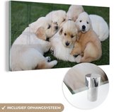 MuchoWow® Glasschilderij 80x40 cm - Schilderij acrylglas - Dieren - Puppy's - Honden - Foto op glas - Schilderijen