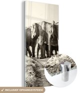MuchoWow® Glasschilderij 20x40 cm - Schilderij acrylglas - Afrikaanse Olifanten sepia fotoprint - Foto op glas - Schilderijen