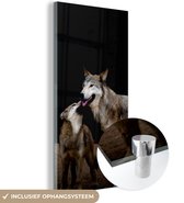 MuchoWow® Glasschilderij 80x160 cm - Schilderij acrylglas - Moeder wolf met pup - Foto op glas - Schilderijen