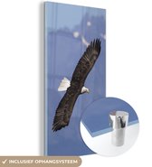 MuchoWow® Glasschilderij 80x160 cm - Schilderij acrylglas - Amerikaanse zee arend - Adelaar - Vliegende - Vleugels - Vogels - Foto op glas - Schilderijen