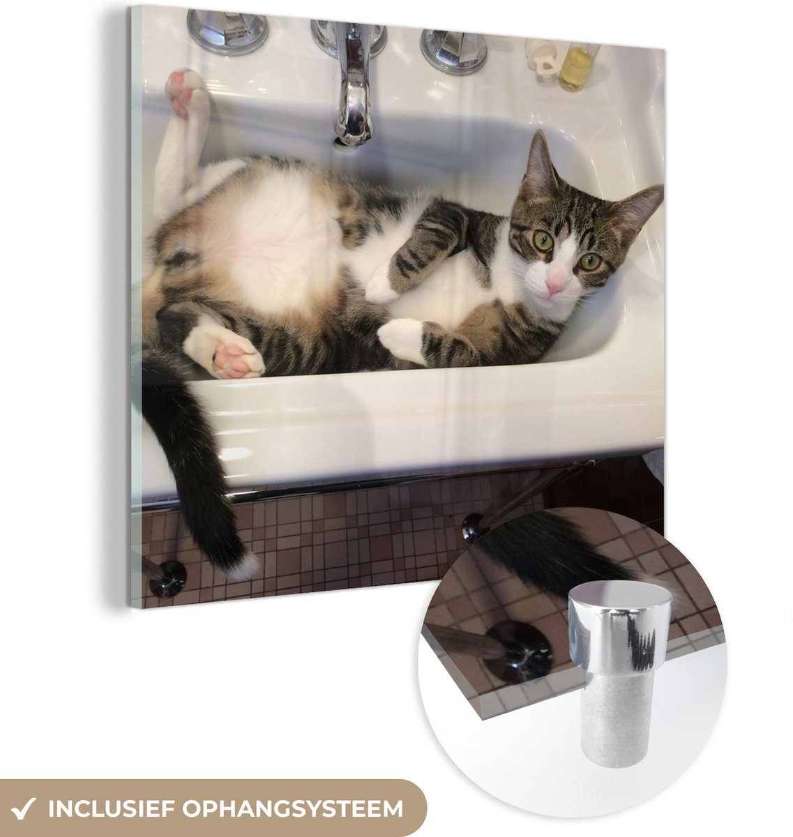 ® Glasschilderij 90x90 cm - Schilderij acrylglas - Kat - Wasbak - Badkamer - Foto op glas