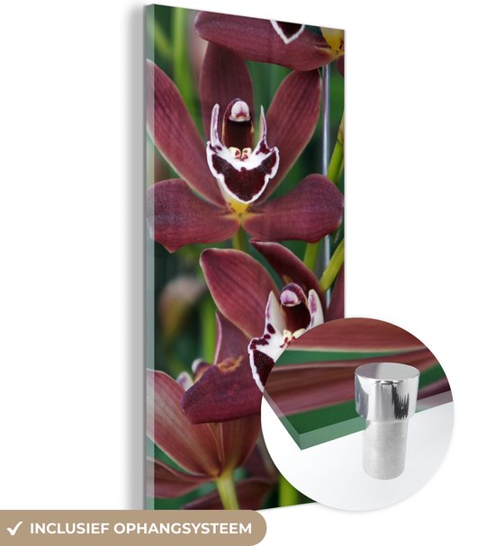 MuchoWow® Glasschilderij 80x160 cm - Schilderij acrylglas - Rode orchideeën voor een groene achtergrond - Foto op glas - Schilderijen