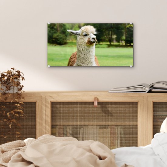 ® Glasschilderij 40x20 cm - Schilderij acrylglas - Alpaca - Wit - Bruin - Boom - Foto op glas - Muurdecoratie woonkamer - Wanddecoratie slaapkamer - Schilderijen