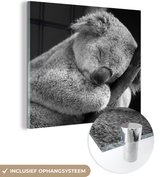 MuchoWow® Glasschilderij 50x50 cm - Schilderij acrylglas - Koala - Tak - Zwart - Kids- Jongens - Meisjes - Foto op glas - Schilderijen