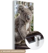 MuchoWow® Glasschilderij 80x160 cm - Schilderij acrylglas - Koala - Plank - Planten - Kinderen - Jongens - Meiden - Foto op glas - Schilderijen