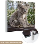 MuchoWow® Glasschilderij 90x90 cm - Schilderij acrylglas - Koala - Hout - Planten - Kids - Jongens - Meiden - Foto op glas - Schilderijen