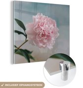 MuchoWow® Glasschilderij 50x50 cm - Schilderij acrylglas - Roze pioenroos bij een grijze achtergrond - Foto op glas - Schilderijen