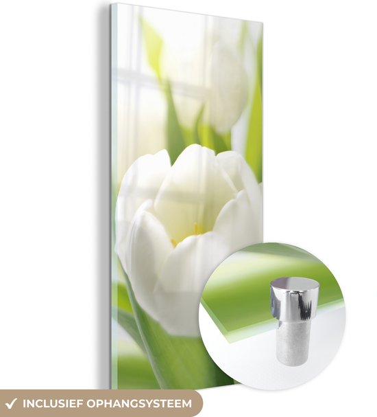 MuchoWow® Glasschilderij 40x80 cm - Schilderij acrylglas - Close-up van een witte tulp - Foto op glas - Schilderijen
