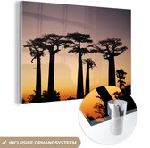 MuchoWow® Glasschilderij 60x40 cm - Schilderij acrylglas - Een silhouet van meerdere Afrikaanse baobab bomen bij zonsondergang - Foto op glas - Schilderijen