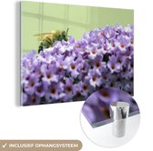 MuchoWow® Glasschilderij 90x60 cm - Schilderij acrylglas - Bij tussen vlinderstruik bloemen - Foto op glas - Schilderijen
