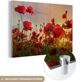 Peinture sur verre Fleurs - Coquelicots - Rouge - Coucher de soleil - Peintures de salon - Photo sur verre - Plaque de verre - Décoration de chambre - 180x120 cm - Décoration murale - Décoration murale - Chambre - Peinture sur verre