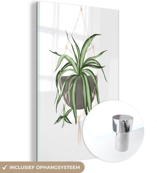 MuchoWow® Glasschilderij 20x30 cm - Schilderij acrylglas - Planten - Hangplant - Wit - Foto op glas - Schilderijen