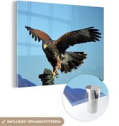 MuchoWow® Glasschilderij 120x90 cm - Schilderij acrylglas - Steenarend onder een helderblauwe hemel - Foto op glas - Schilderijen