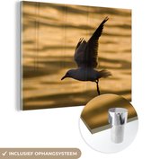 MuchoWow® Glasschilderij 120x90 cm - Schilderij acrylglas - Hartlaubs meeuw die vliegt bij zonsondergang - Foto op glas - Schilderijen