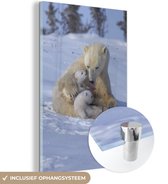 MuchoWow® Glasschilderij 20x30 cm - Schilderij acrylglas - IJsbeer - Welp - Sneeuw - Foto op glas - Schilderijen