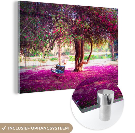 MuchoWow® Glasschilderij 60x40 cm - Schilderij acrylglas - Bank onder bloeiende bougainvillea boom in de Lodi Gardens in India - Foto op glas - Schilderijen