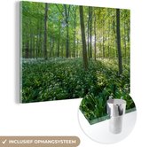 MuchoWow® Peinture sur verre 180x120 cm - Peinture sur verre - Les rayons du soleil brillent le long des hêtres - Photo sur verre acrylique - Peintures