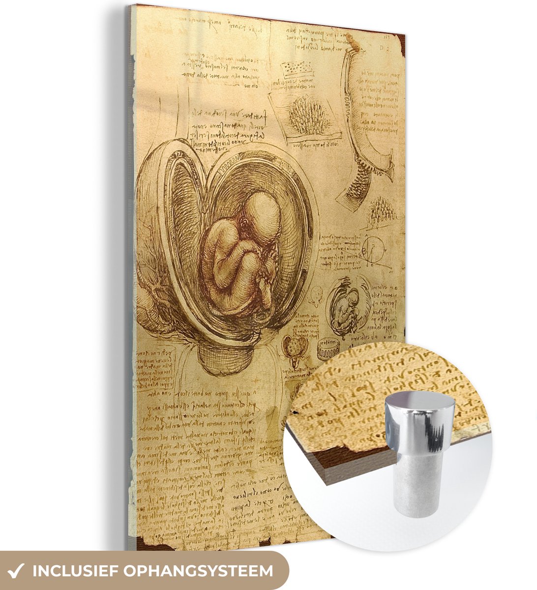 ® Glasschilderij 60x90 cm - Schilderij acrylglas - Baby in the womb - Leonardo da Vinci - Foto op glas - Muurdecoratie woonkamer - Wanddecoratie slaapkamer - Schilderijen