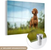 MuchoWow® Glasschilderij 60x40 cm - Schilderij acrylglas - Hond die wegkijkt - Foto op glas - Schilderijen