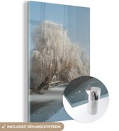 MuchoWow® Glasschilderij 40x60 cm - Schilderij acrylglas - Treurwilg in de winter - Foto op glas - Schilderijen