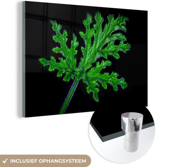 MuchoWow® Glasschilderij 120x80 cm - Schilderij acrylglas - Apart groen blad op zwarte achtergrond - Foto op glas - Schilderijen