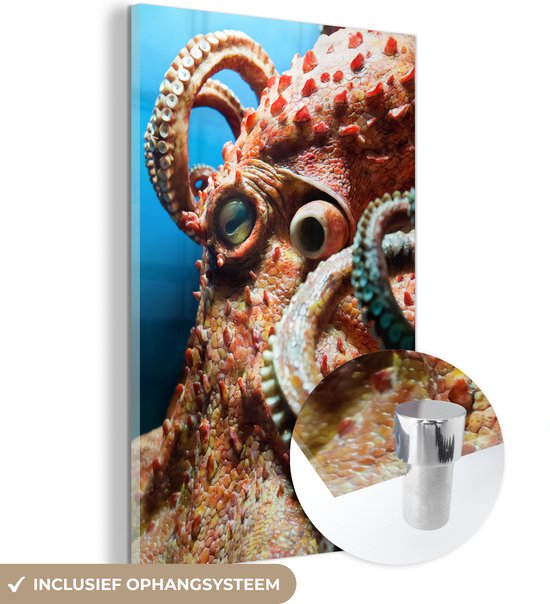 MuchoWow® Glasschilderij 40x60 cm - Schilderij acrylglas - Het hoofd van een octopus - Foto op glas - Schilderijen