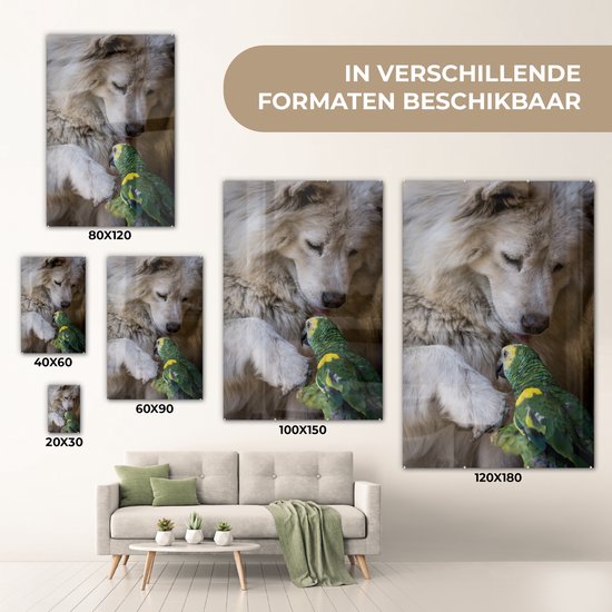 Een witte hond likt een groene papegaai op een glasafbeelding in verschillende formaten.