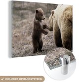 MuchoWow® Peinture sur Verre - Ours - Grizzly - Cub - 30x20 cm - Peintures sur Verre Acrylique - Photo sur Glas