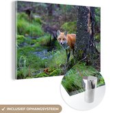 MuchoWow® Glasschilderij 120x80 cm - Schilderij acrylglas - Vos - Boom - Bosdier - Herfst - Foto op glas - Schilderijen
