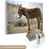 MuchoWow® Glasschilderij 90x60 cm - Schilderij acrylglas - Eenzame ezel op kaal landschap - Foto op glas - Schilderijen
