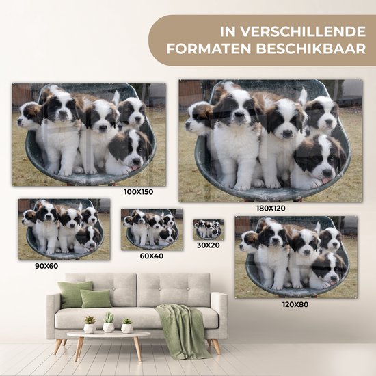 Peinture sur verre - Brouette avec chiots Saint Bernard - 90x60 cm - Peintures sur Verre Peintures - Photo sur Glas