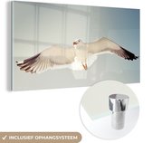 MuchoWow® Glasschilderij 80x40 cm - Schilderij acrylglas - Meeuw - Zee - Vleugels - Foto op glas - Schilderijen