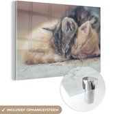 MuchoWow® Glasschilderij 60x40 cm - Schilderij acrylglas - Slapende kittens - Foto op glas - Schilderijen