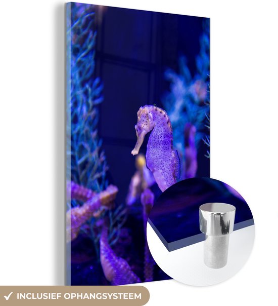 Peinture sur verre - Hippocampe avec congénères. - 60x90 cm - Peintures sur Verre Peintures - Photo sur Glas