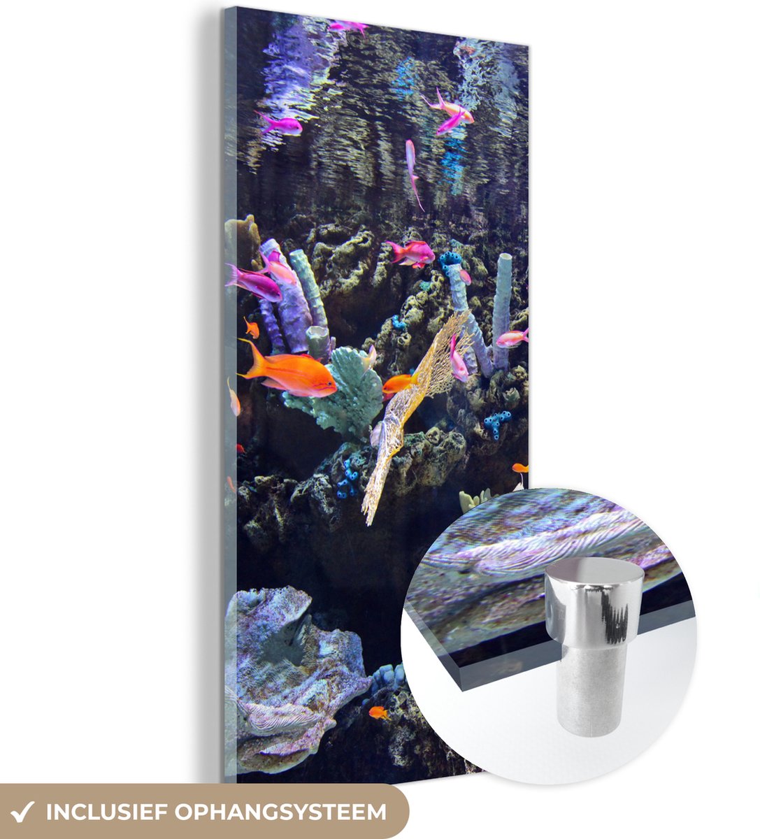 ® Glasschilderij 80x160 cm - Schilderij acrylglas - Kleurrijk aquarium - Foto op glas - Muurdecoratie woonkamer - Wanddecoratie slaapkamer - Schilderijen