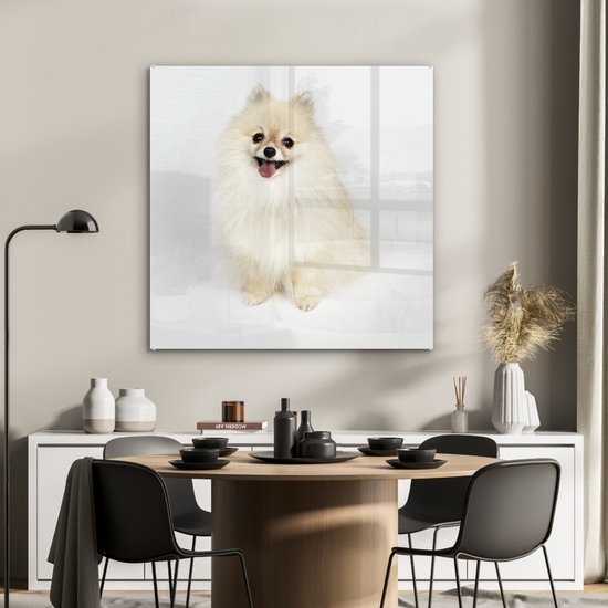 MuchoWow® Peinture sur verre 90x90 cm - Peinture acrylique sur verre - Pomeranian heureux - Photo sur verre - Peintures