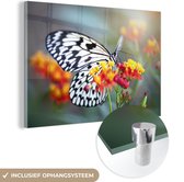 MuchoWow® Glasschilderij 180x120 cm - Schilderij acrylglas - Vlinder op een bloem - Foto op glas - Schilderijen