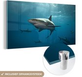 MuchoWow® Glasschilderij 120x60 cm - Schilderij acrylglas - Groep haaien - Foto op glas - Schilderijen