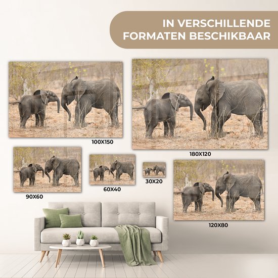 MuchoWow® Peinture sur verre - Deux jeunes éléphants - 150x100 cm - Peintures sur verre acrylique - Photo sur Glas