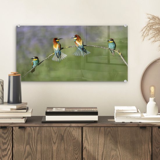 Quatre guêpiers assis sur une brindille courbée en plexiglas 40x20 cm - Tirage photo sur Glas (décoration murale en plexiglas)